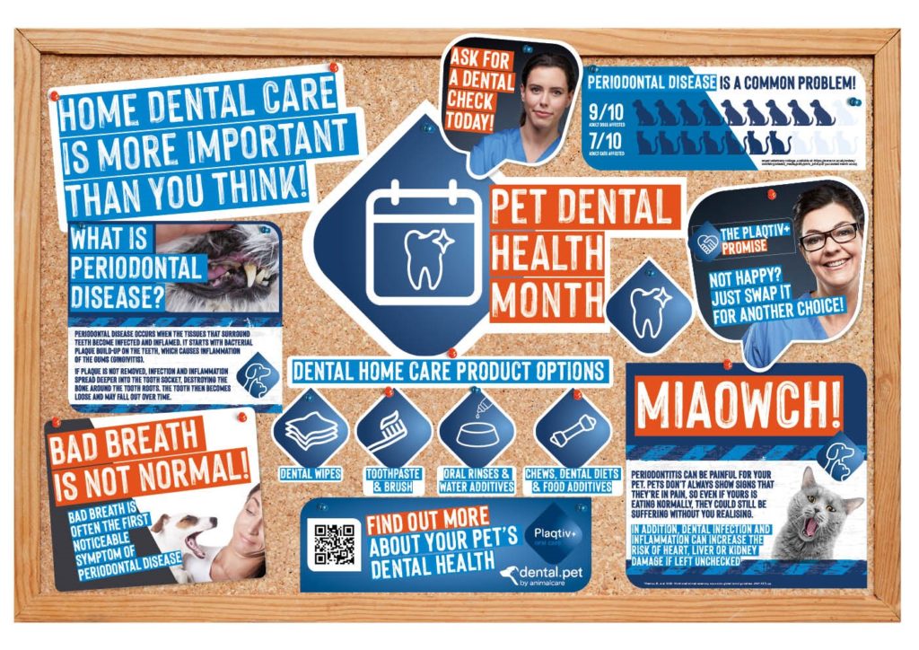 Dental Health Month Bulletin Board Image